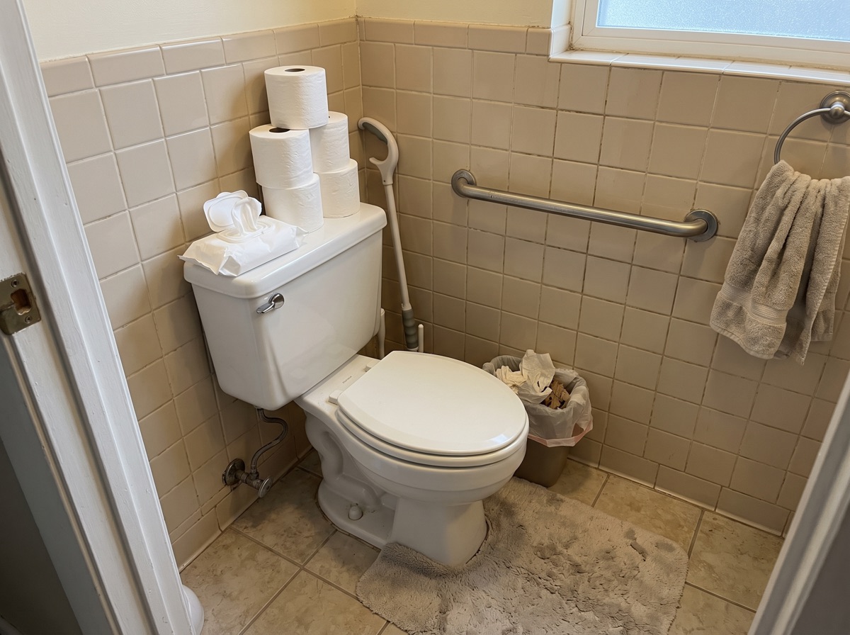 A small bathroom with a grab bar, a long-handled wiping aid in the corner and extra toilet paper rolls on the tank.